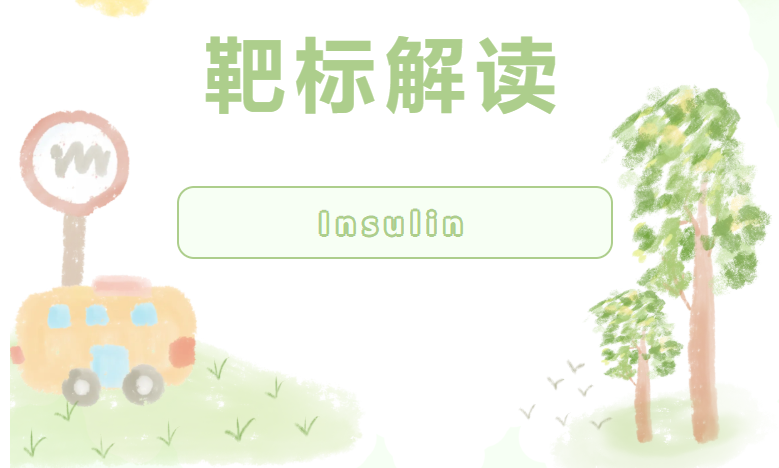 靶標解讀|胰島素Insulin