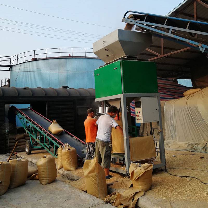 25公斤大豆小麥顆粒稱重包裝秤單斗雙稱規格