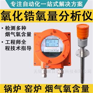 防爆氧化鋯氧量分析儀 石油化工鍋爐氧量計