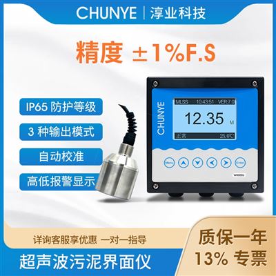 W8000J淳業在線超聲波污泥水界面儀