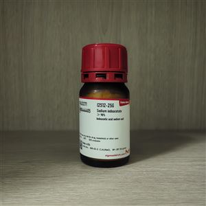 I2512-25GSigma：碘乙酸钠