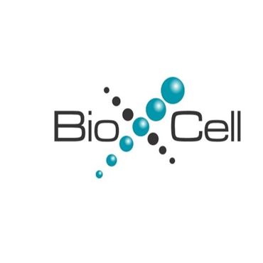 BioXCell国内*代理