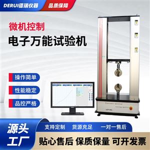DR-600010KN电子万能试验机厂家