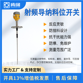 射频导纳料位开关 上海生产厂家 支持定制