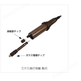 GSS日本DKK东亚芯片更换式pH/ORP电极用检测器