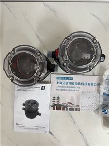 Badger Meter 旋轉(zhuǎn)活塞流量計(jì)RCDL M25
