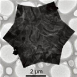 金纳米片，Au Nanotriangles‌‌