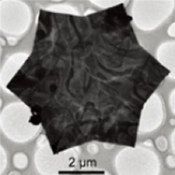 金納米片，Au Nanotriangles??