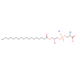cas：383907-66-2，Brain Lyso PS