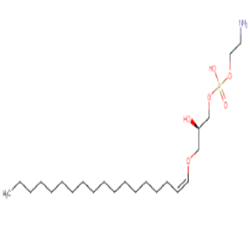 cas：475995-55-2，Brain Lyso PE