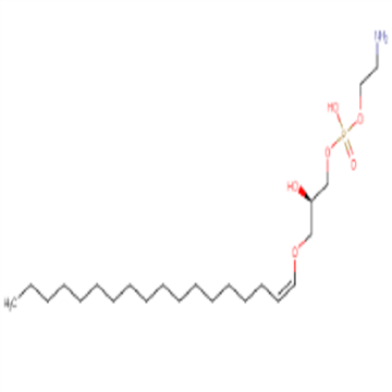 cas：475995-55-2，Brain Lyso PE