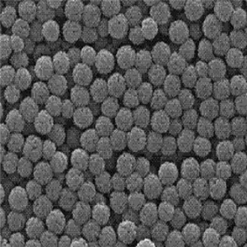 介孔硅包硫化銅納米顆粒