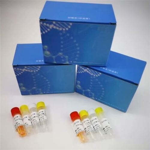 诺如病毒（NV）荧光PCR试剂盒