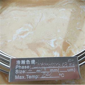 2M*3MMChromosorb 102填充色谱柱应用岛津GC2010