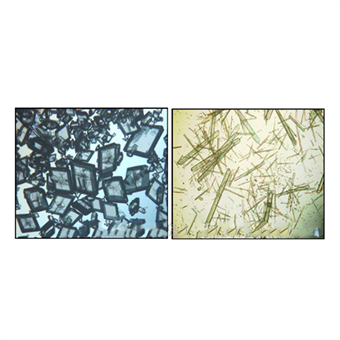 結晶工藝優化技術服務