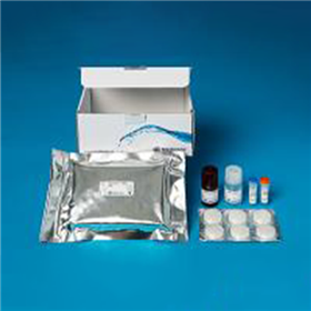 Protein L Ligand Leakage ELISA