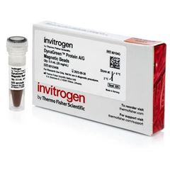 Thermo赛默飞磁珠DynaGreen ProteinA/G试剂80104G