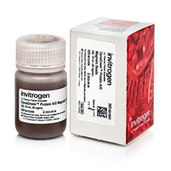 Thermo赛默飞试剂DynaGreen ProteinA/G磁珠80106G
