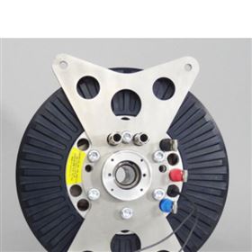 EMRAX 永磁同步電機208