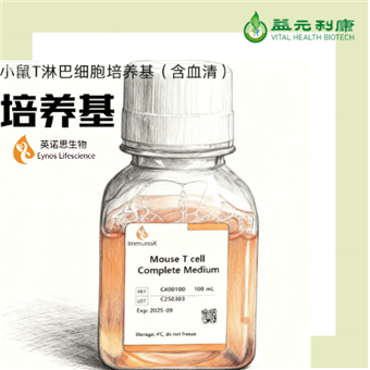 小鼠T淋巴细胞培养基（含血清）