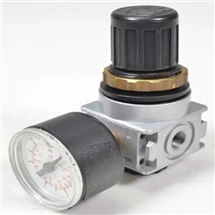 德國(guó)Riegler過(guò)濾器調(diào)節(jié)器678.41 K-HA標(biāo)準(zhǔn)型