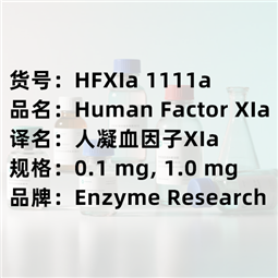 Human Factor XIa