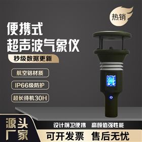 便携式气象站 移动式 气象观测设备