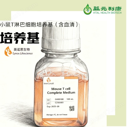 小鼠T淋巴細胞培養基（含血清）