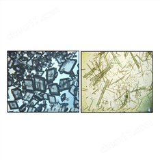 結(jié)晶工藝優(yōu)化技術(shù)服務(wù)