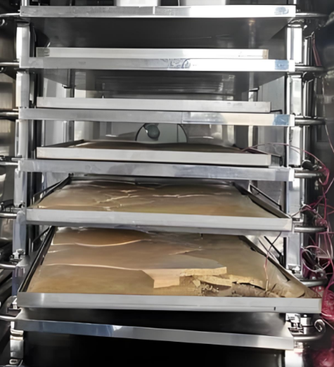 植物提取物的應用與凍干工藝技術