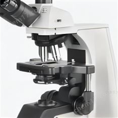 永新生物顯微鏡應用：覆蓋多領域生物觀察