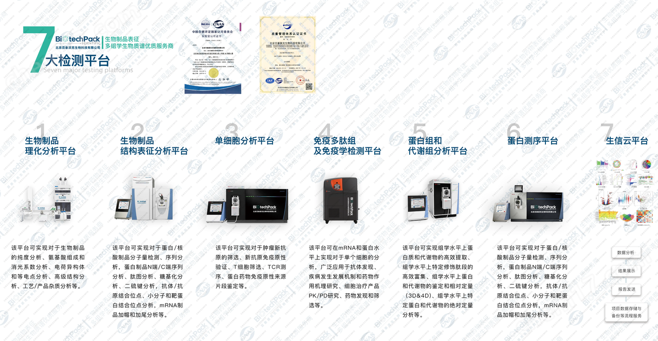 蛋白質序列比對與同源性分析指南