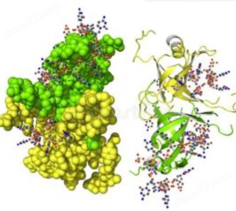 DNA聚合酶2.0/重組酶2.0/輔助蛋白2.0/DNA單鏈結(jié)合蛋白2.0/核酸外切酶III/逆轉(zhuǎn)錄酶2.0