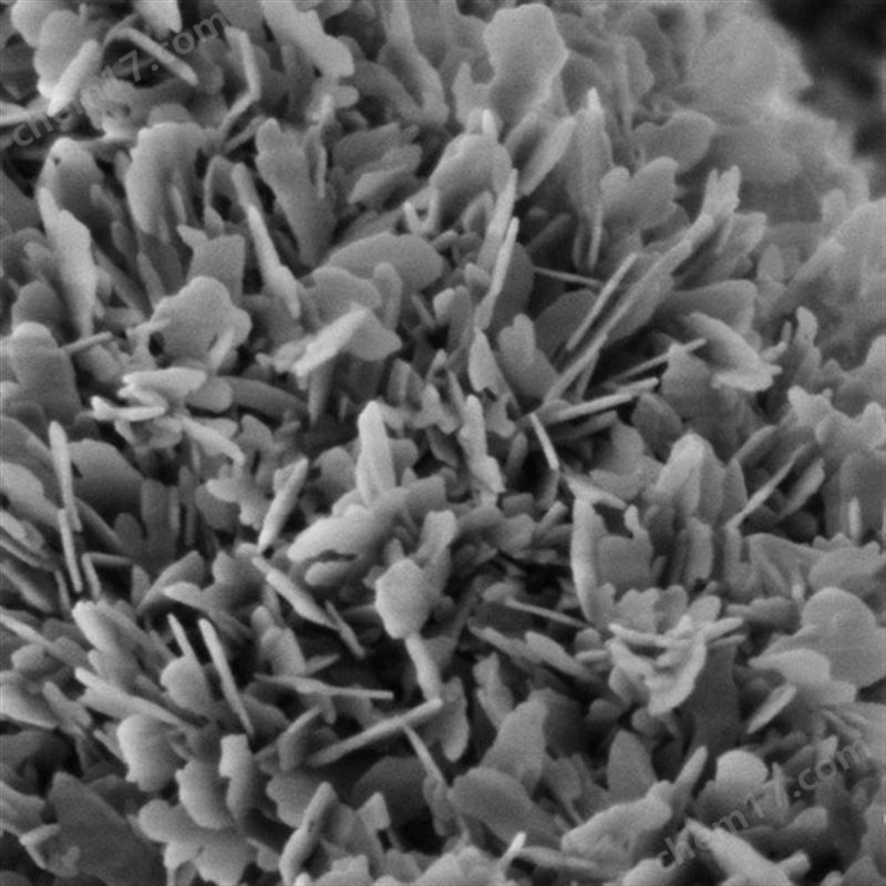 Apreo場(chǎng)發(fā)射掃描電子顯微鏡