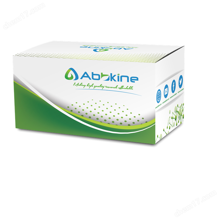 EliKine™ 人白介素17AELISA定量試劑盒