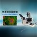 中山細胞熒光顯微鏡MHIF3000