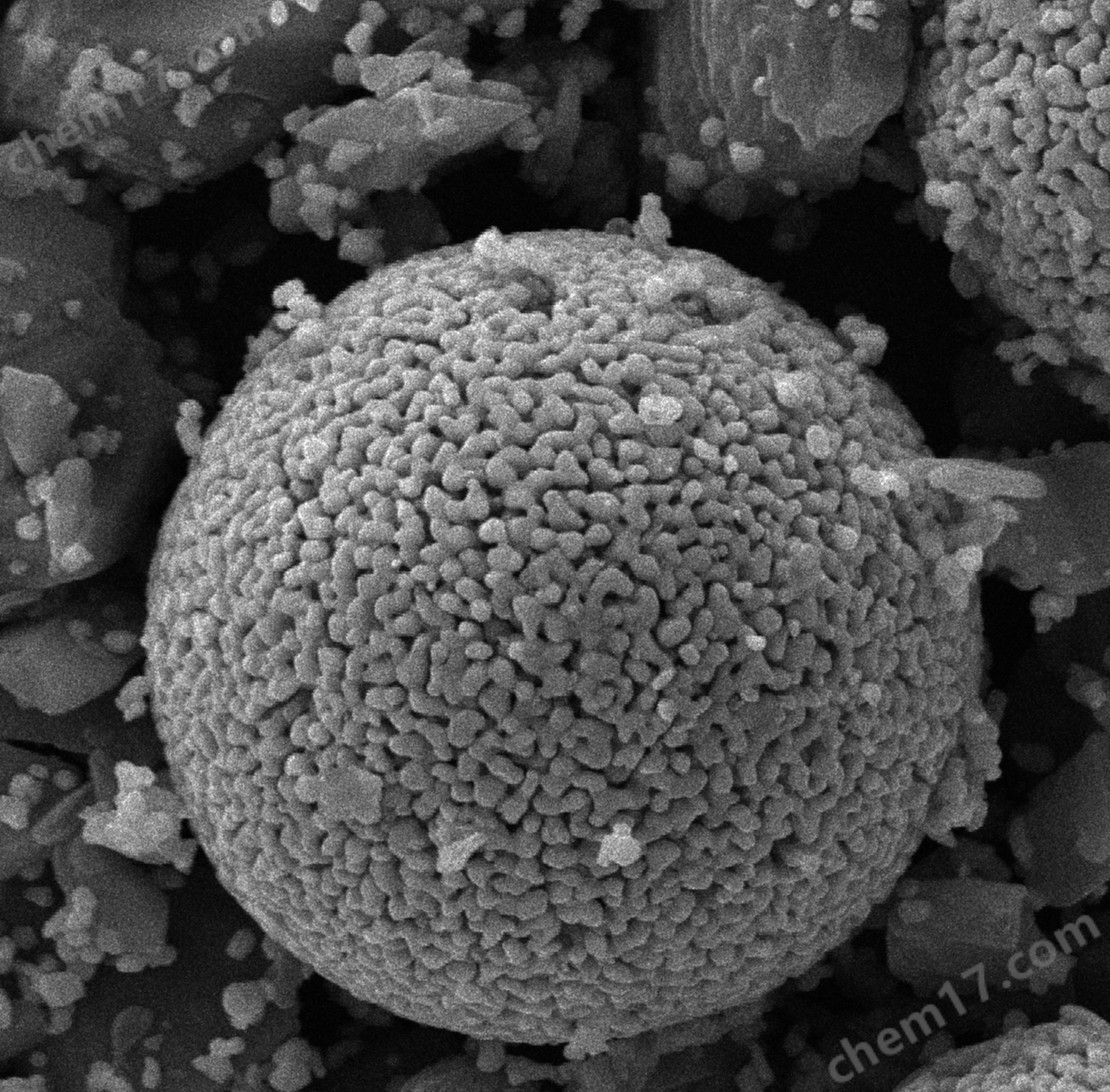 掃描電子顯微鏡 半導體陶瓷電容截面分析