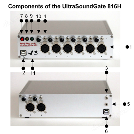 12通道動物超聲聲譜錄制系統(tǒng)