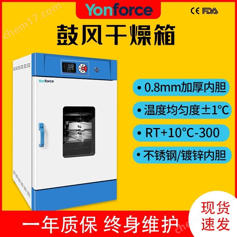 立式鼓風(fēng)干燥箱125L溫度RT+10-300℃