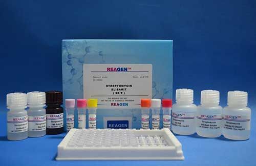 泛素蛋白ELISA試劑盒 ELISA Kit
