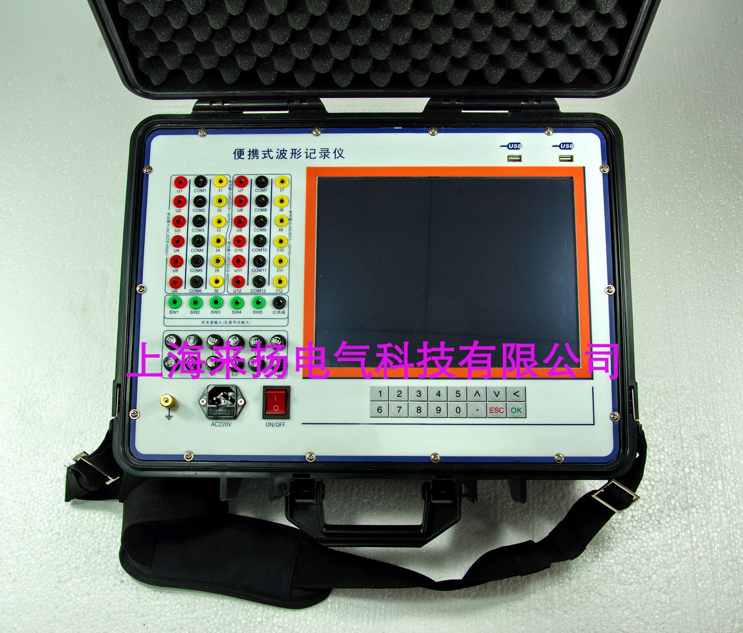 LYLB6000便攜式波形記錄儀(sw).jpg