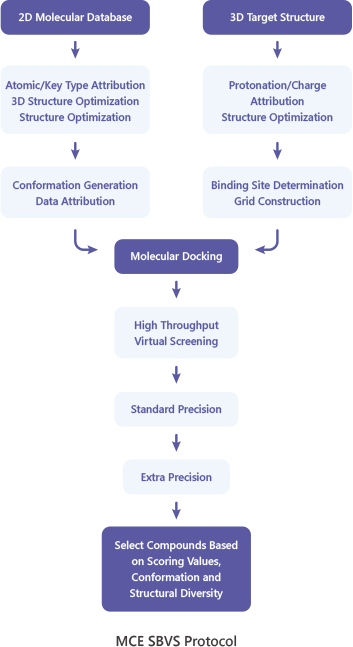 MCE SBVS Protocol
