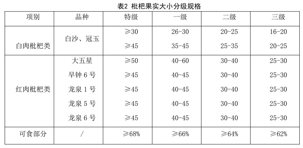 表2.jpg
