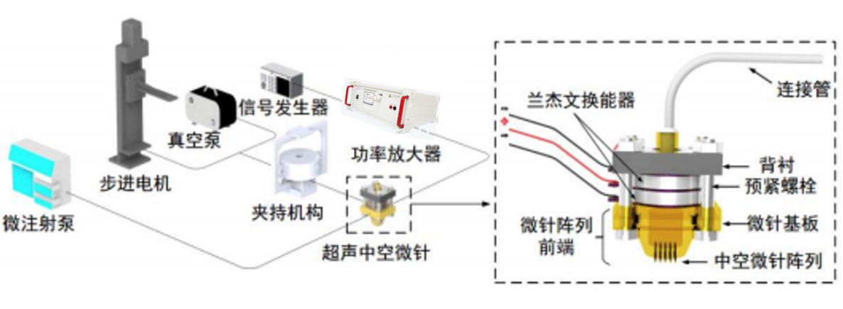 超聲微針陣列系統(tǒng)經(jīng)皮給藥實驗框圖