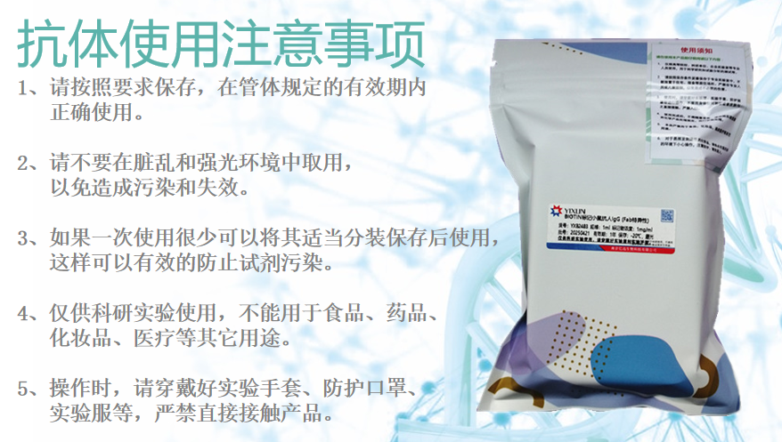 小鼠抗人IgG2，高纯度单克隆抗体