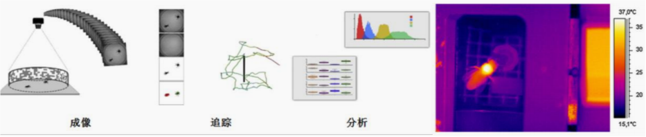 中國(guó)昆蟲學(xué)會(huì)第 25 屆學(xué)術(shù)年會(huì)邀請(qǐng)函