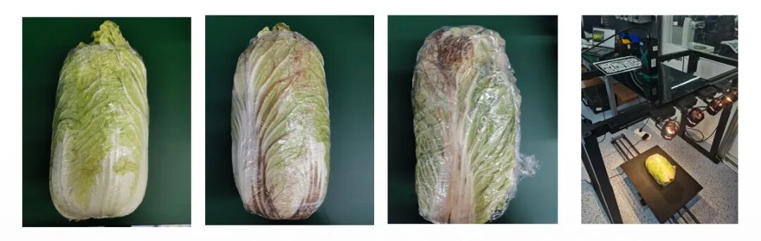 高光谱技术在白菜新鲜度判别中的应用与分析
