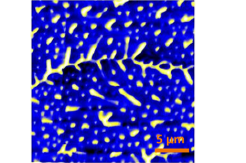 成果專題匯總，低溫強磁場磁力顯微鏡attoMFM, 磁性可視化觀測的核心工具！
