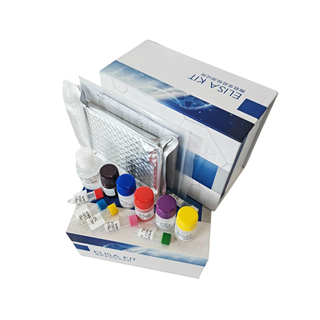 上海研域生物小鼠Elisa試劑盒實驗原理及優點