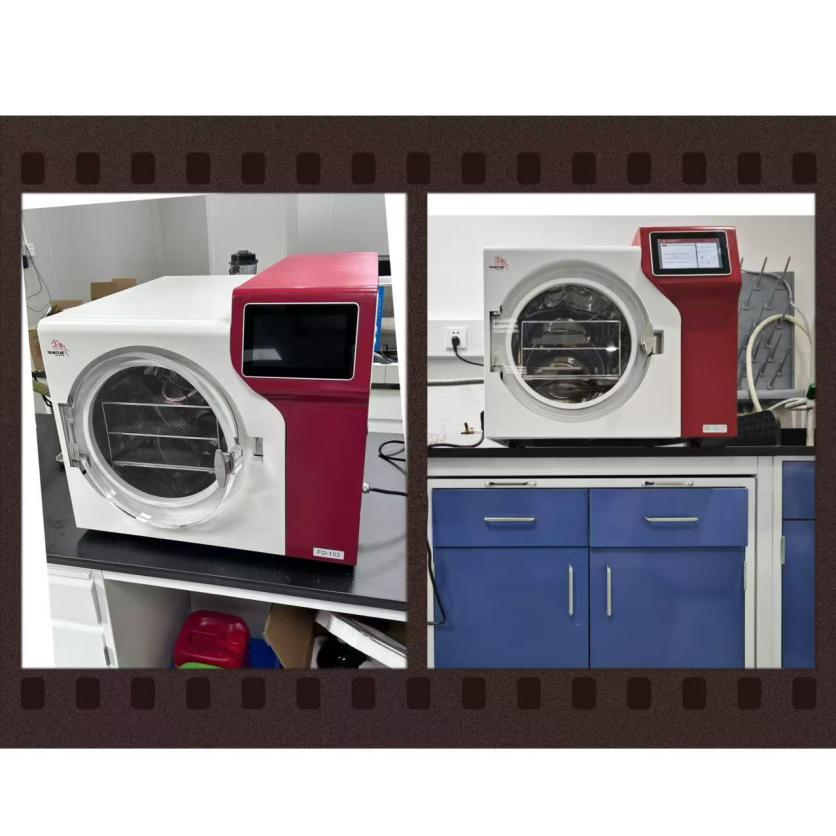 駿德凍干機(jī)多地裝機(jī)！賦能多領(lǐng)域科研與檢測(cè)